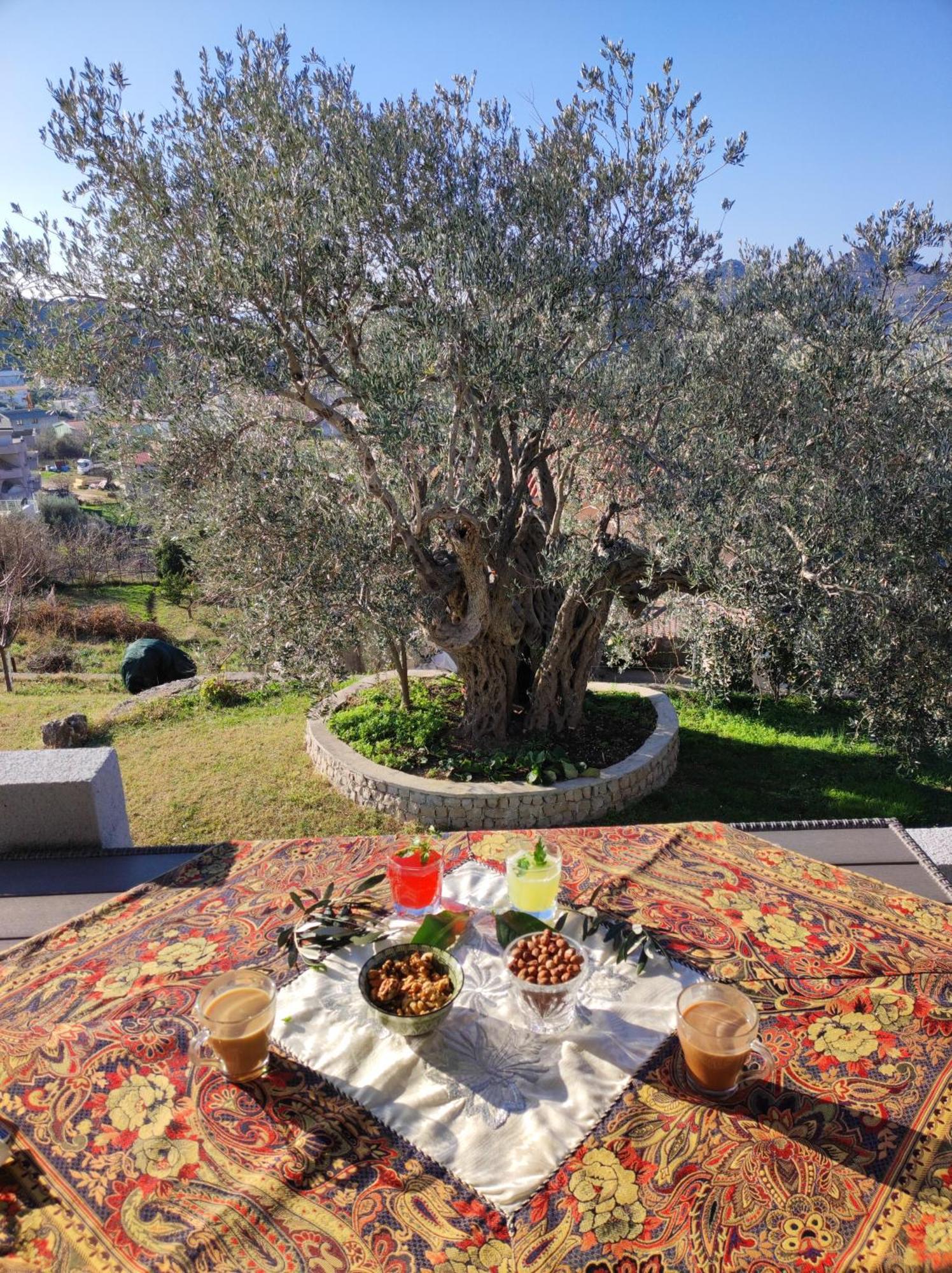 فيلا Zelena Maslina بار المظهر الخارجي الصورة